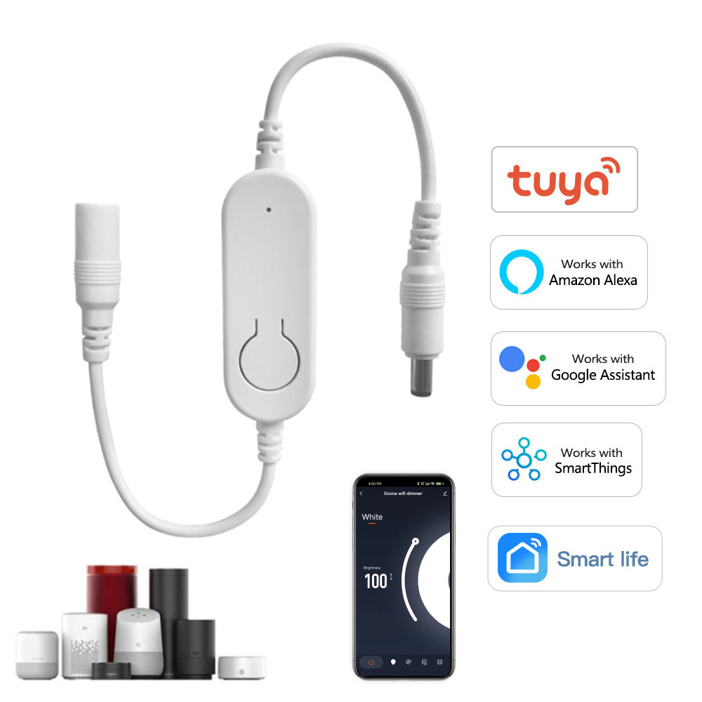 DC12V-24V Tuya Wifi LED Strip  - огляд і ціна Smart Garden Light Controller