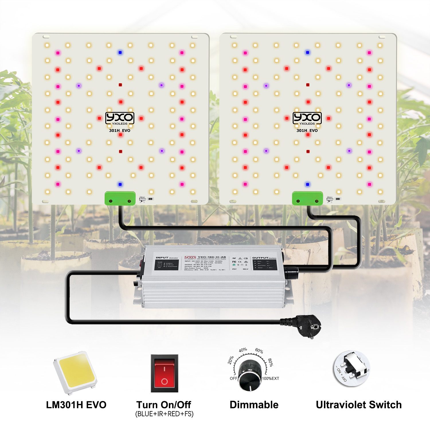 85W 180W LM301H EVO Quantum LE - огляд і ціна Grow Tent Complete Kit