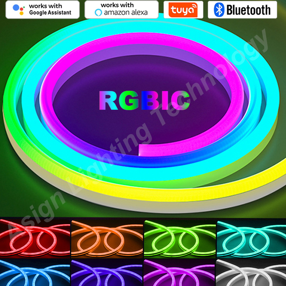 RGBIC LED Neon Strip 12V 96LED - огляд і ціна Smart Garden Light Controller