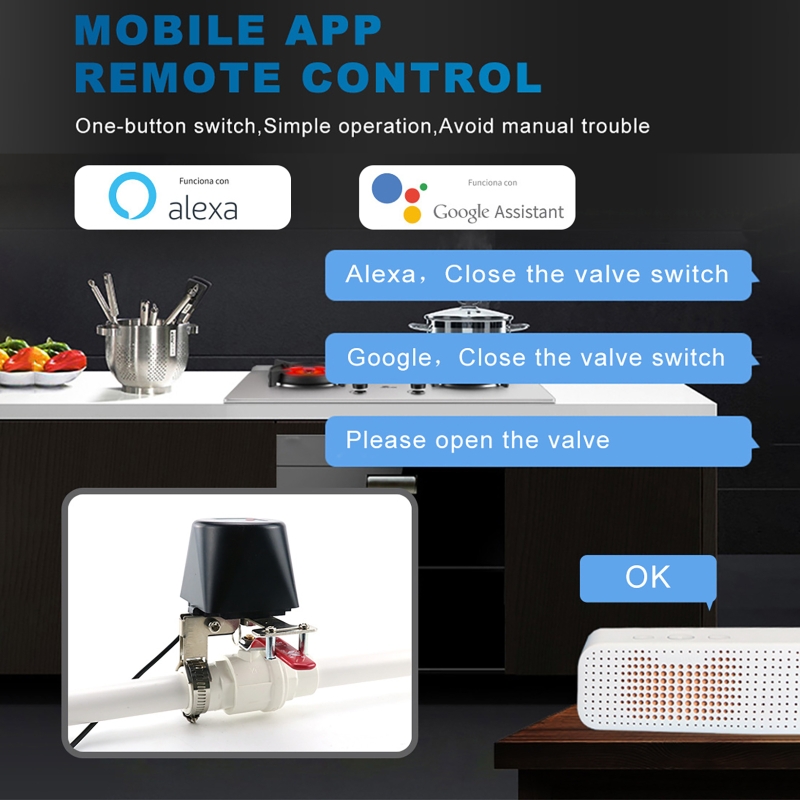 Tuya Smart Gas Valve WIFI Gard - огляд і ціна Smart Garden Timer