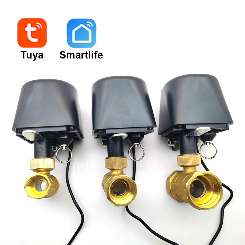 Tuya WiFi or Zigbee Water Valv - огляд і ціна Smart Garden Timer